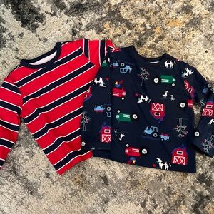 The Children's Place boys Printed Long Sleeve Size 12-18 mo.